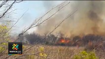 tn7-condiciones-tiempo-incendios-forestales-100220