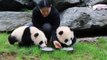 Primeros pasos de pandas gemelos