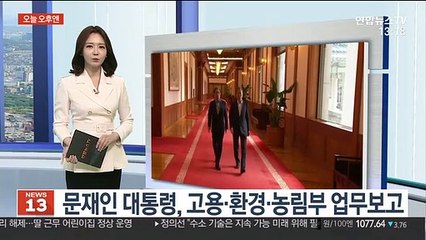 [오늘 오후엔] 문 대통령, 고용·환경·농림부 업무보고 外