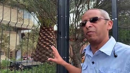 Afrique du Sud: le long chemin du retour des expulsés du District 6