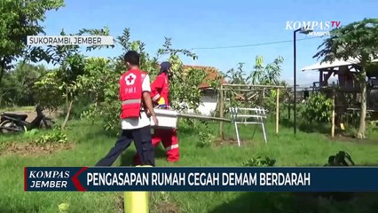 Download Video: Pengasapan Rumah Cegah Demam Berdarah