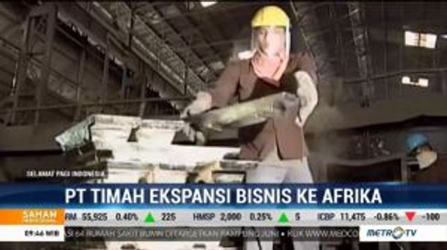 PT Timah Ekspansi Bisnis ke Afrika