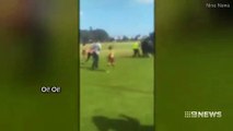 Une grand-mère attaque un arbitre de 13 ans pendant un match de football