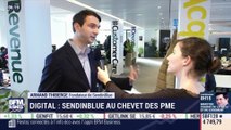 La France qui bouge: Digital, Sendinblue au chevet des PME, par Justine Vassogne - 11/02