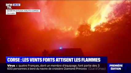 Tempête Ciara: les images impressionnantes des flammes attisées par les vents violents en Corse
