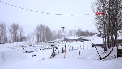 Van inşaatta söylediği şarkısı tıklama rekoru kıran murat: sanatçı olmak isterim