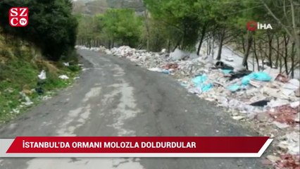 Ormanı molozla doldurdular