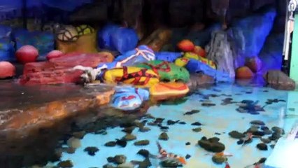 Un océano de animales ¡EN UN EDIFICIO! | Sólo en "China". [Subs en Chino/Español]