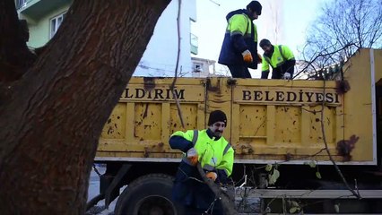Yıldırım'da park bahçe bakım onarım
