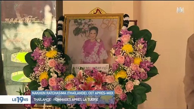 Australie : Une ville envahie par des chauves souris