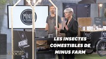 Minus Farm, la ferme urbaine d'insectes comestibles dans 