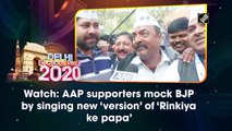 Watch: AAP supporters mock BJP by singing new 'version' of 'Rinkiya ke papa'