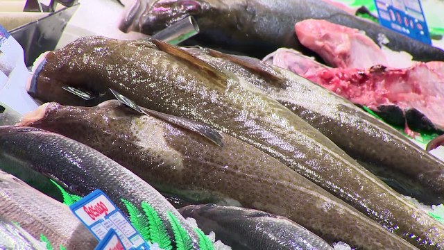 El Skrei, el bacalao más sibarita, cumple 25 años en España