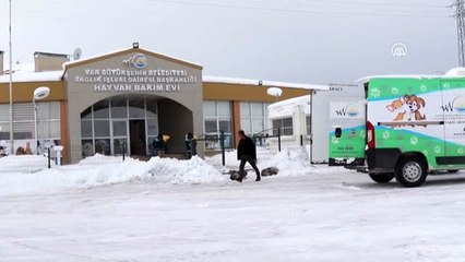 Van Büyükşehir Belediyesi sokak hayvanlarını unutmadı