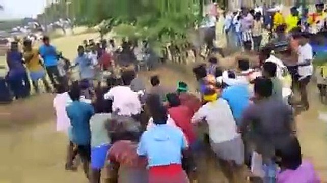 எத்தனை பேர் பிடித்தாலும் பறக்க விட்ட முரட்டுக்காளை