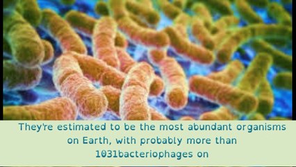 Scientists are reengineering viruses to fight antibiotic resistance