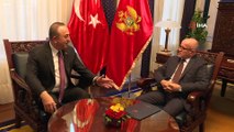 - Bakan Çavuşoğlu, Karadağ Dışişleri Bakanı Darmanoviç ile görüştü