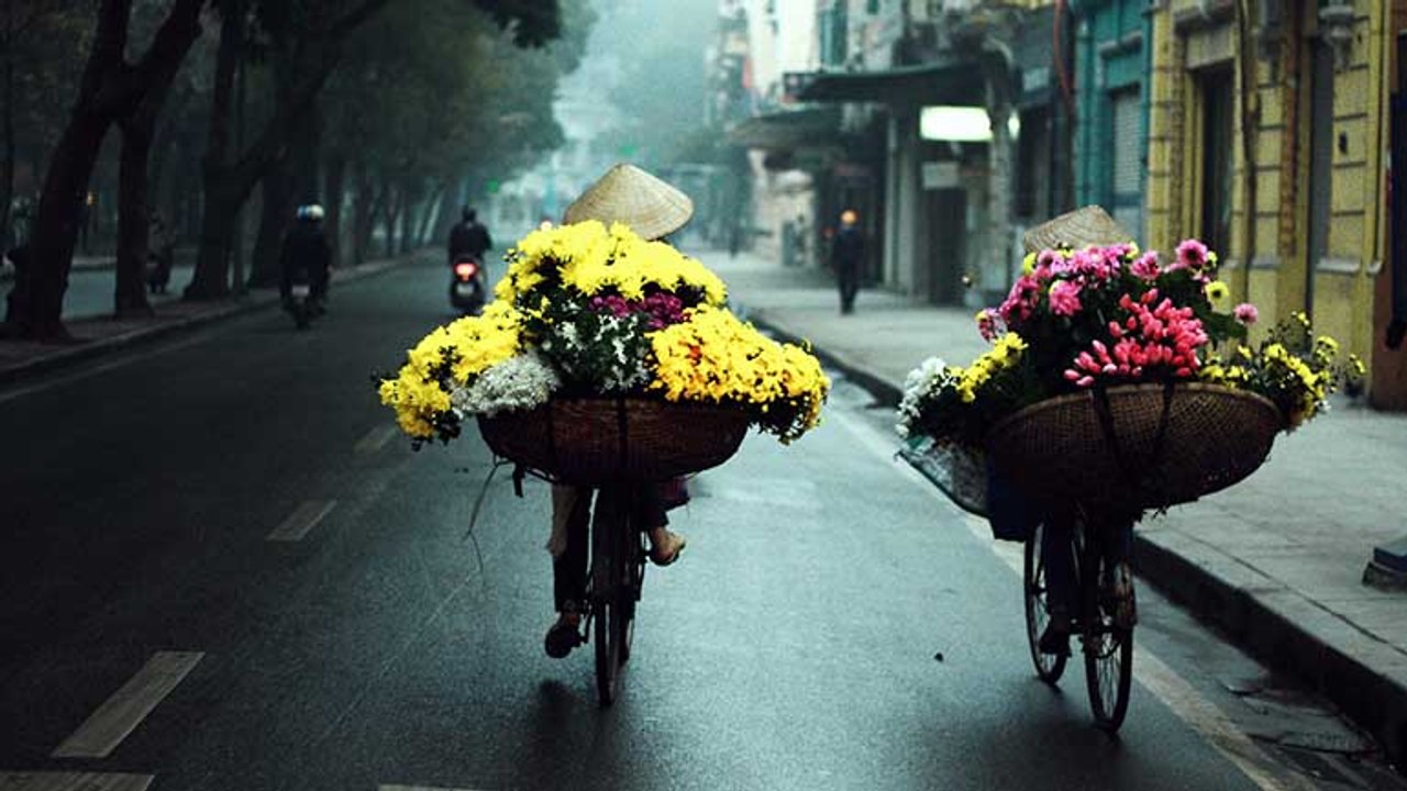 NetViet stories -11/02/2020