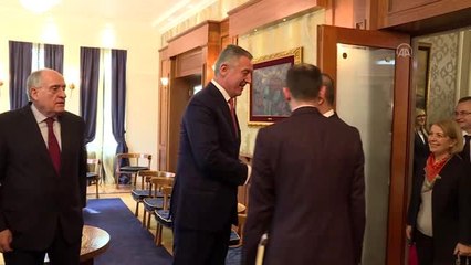 Bakan Çavuşoğlu, Karadağ Cumhurbaşkanı Cukanoviç ile görüştü - PODGORİCA
