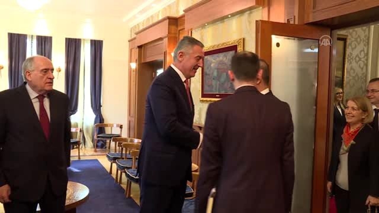 Bakan Çavuşoğlu, Karadağ Cumhurbaşkanı Cukanoviç ile görüştü - PODGORİCA