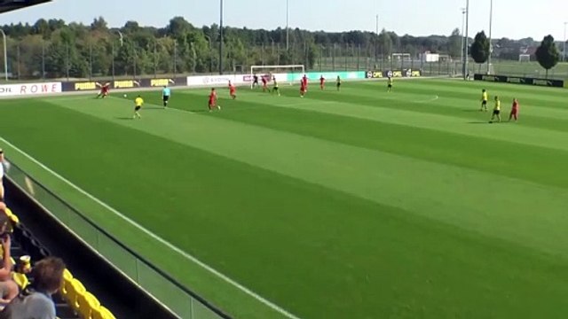Les skills de Giovanni Reyna avec les U19 du Borussia Dortmund