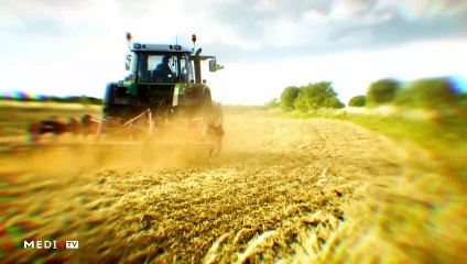 يوميات الفلاح - 11/02/2020