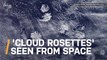 These Stunning ‘Cloud Rosettes' Can Only Be Seen From Space