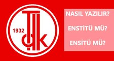 Enstitü nasıl yazılır? Enstitü mü, ensitü mü? Enstitü ne demek?