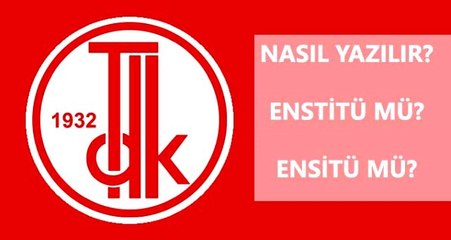 Enstitü nasıl yazılır? Enstitü mü, ensitü mü? Enstitü ne demek?