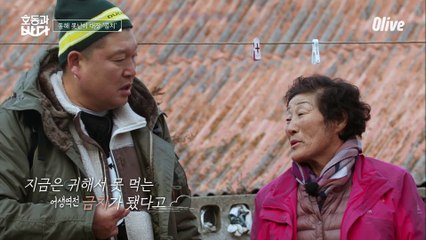 뭘 봐? 굉장히 못생겼지만 지금은 동해 대표 유명漁 곰치!!