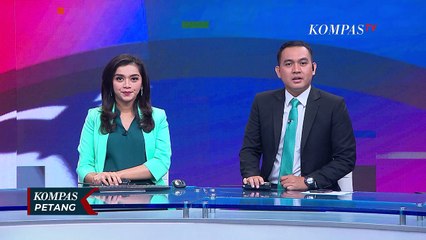 2 Ahli Reptil Asal Australia Turun Tangan Selamatkan Buaya \"Berkalung\" Ban di Palu
