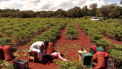 Abismo de Paixão - Penúltimo Capitulo 120 (10.02.20)