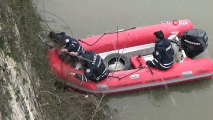 Yeşilırmak’a düşen yavru kediyi itfaiye kurtardı