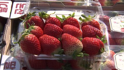 [대전/대덕] 논산시, 아산·진천에 딸기 2천 상자 전달 / YTN