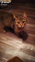 Chat pas content sur Snapchat