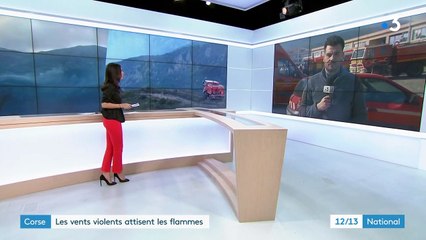 Incendies en Corse : l'aide aérienne n'est pas possible en raison des vents violents