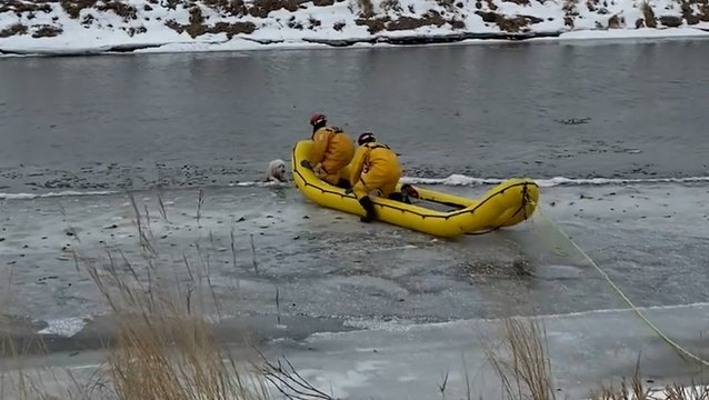 Firefighters respond to dog trapped in frozen river