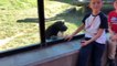 Divertidos monos mascotas jugando con niños y bebés