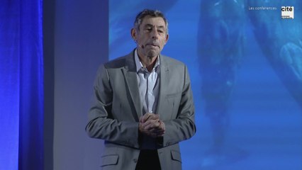 Des clics et des clangs : le langage énigmatique des cachalots