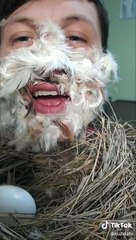 Un Close-Up sur le derrière d'une poule qui pond un œuf