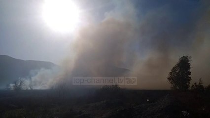 Tymi pushton Orikumin! Zjarr në kullota, zjarrfikësja e Vlorës nuk ndërhyn dot