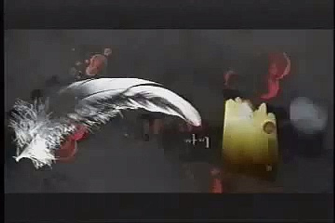 Harpy (2000) - 하피 - Trailer