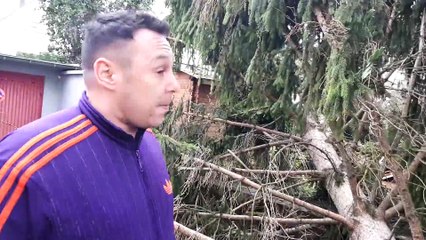 Ciara fait voler des toits à la Meinau