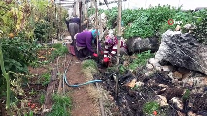 Zirai don nöbetinde sera yandı