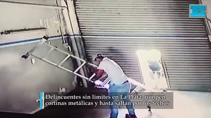Delincuentes "todo terreno" en La Plata