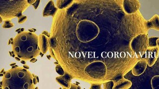 Death Toll Tops 800 From Novel Coronavirus