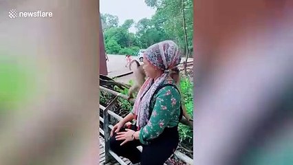 Monkey kicks away woman trying to pose for picture in Malaysia