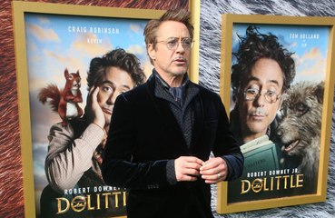 Robert Downey Jr. aurait adoré incarner Hawkeye!