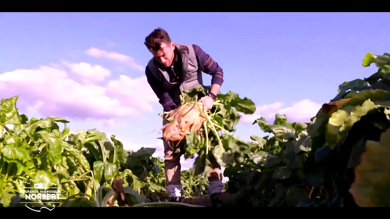 Découvrez les premières images de "La grande vadrouille de Norbert" diffusé dès le samedi 29 février à partir de 21h05 sur la chaîne 6ter