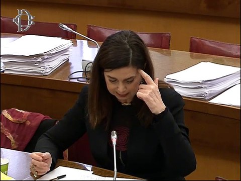 Roma - ​Audizioni sulla convenzione per la salvaguardia dei diritti dell'uomo (11.02.20)